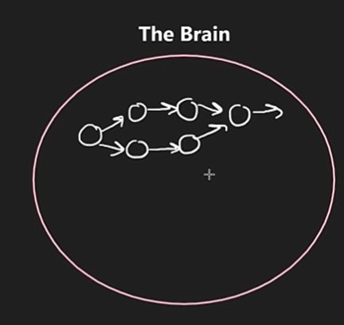 Brain Circuit Illustration